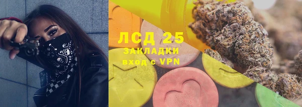 гашик Пестово