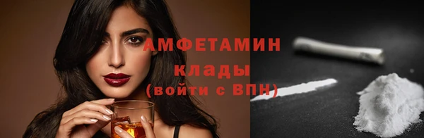 гашик Пестово