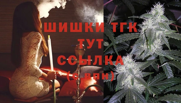 гашик Пестово