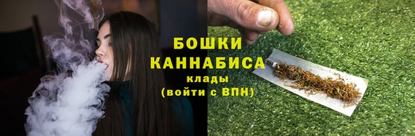 гашик Пестово