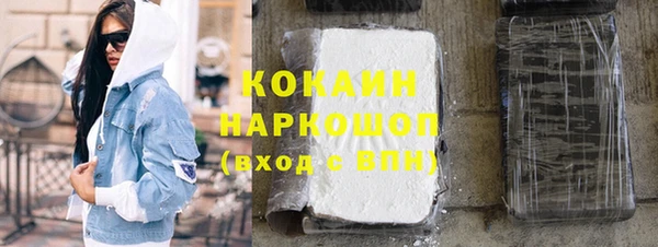гашик Пестово