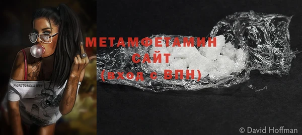 гашик Пестово