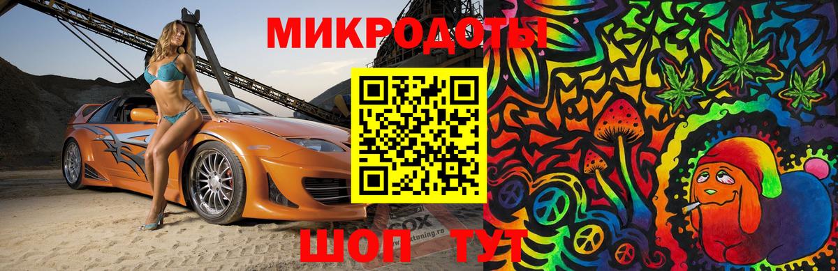 Псилоцибиновые грибы Psilocybe Балашиха